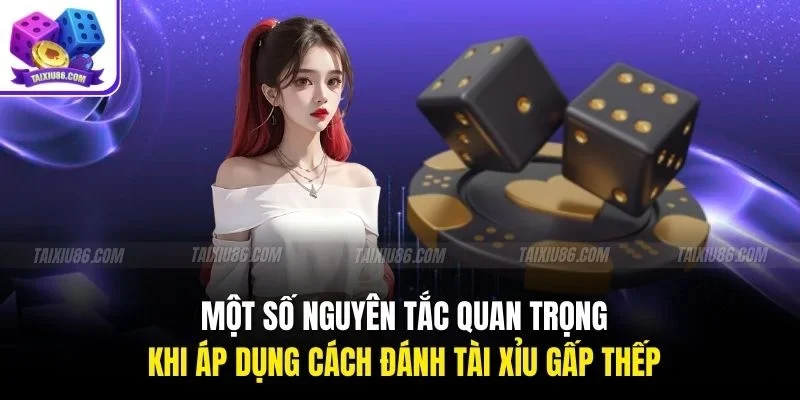 Một số nguyên tắc quan trọng khi áp dụng cách đánh tài xỉu gấp thếp